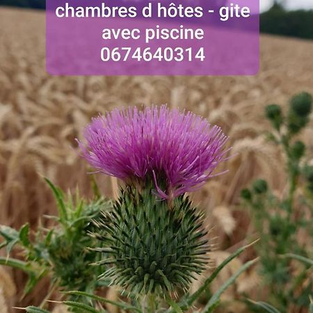 Bed and Breakfast Au Chardon Bleu Nesle Exterior foto