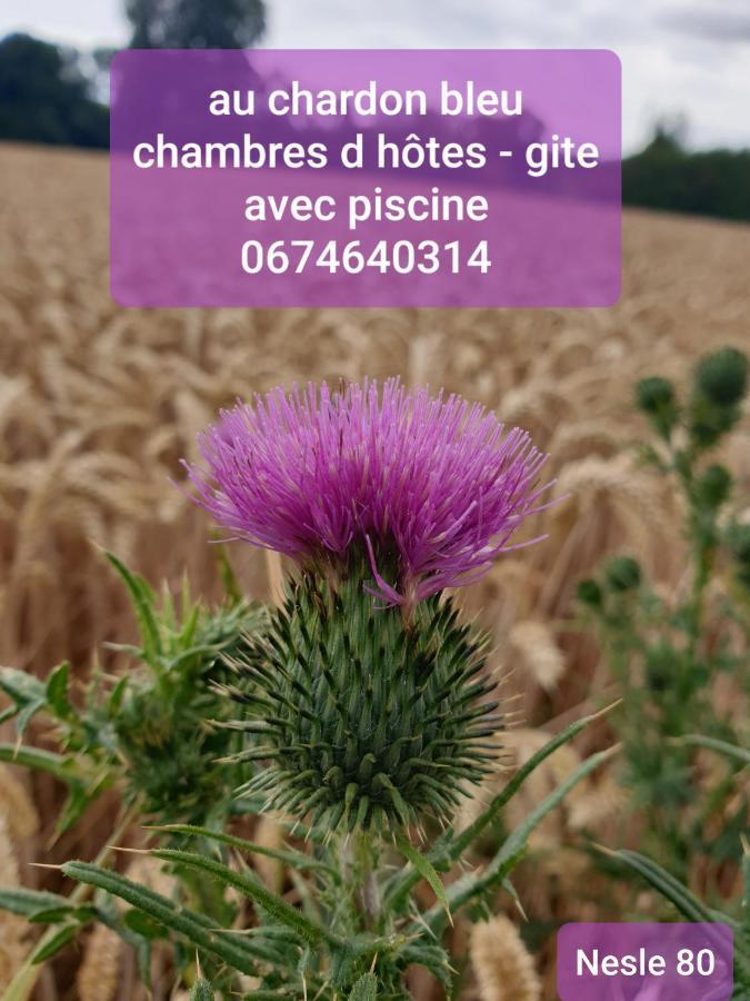 Bed and Breakfast Au Chardon Bleu Nesle Exterior foto